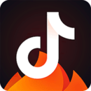 WWW,d4cc·COM网站APPAPP应用